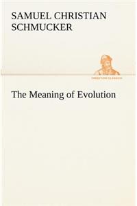 The Meaning of Evolution