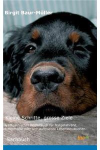 Kleine Schritte, grosse Ziele