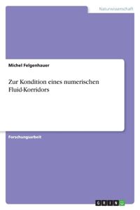 Zur Kondition eines numerischen Fluid-Korridors