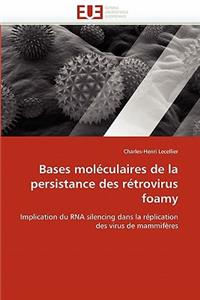 Bases Moléculaires de la Persistance Des Rétrovirus Foamy