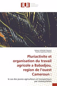 Pluriactivite et organisation du travail agricole a Babadjou, region de l'ouest Cameroun