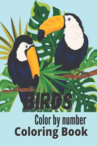 Birds Color By Number Coloring Book