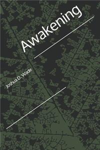 Awakening