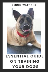 Essential Guide on Training Your Dogs