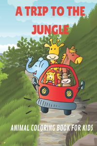 A Trip to The Jungle