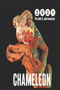 chameleon