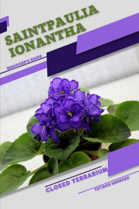 Saintpaulia ionantha