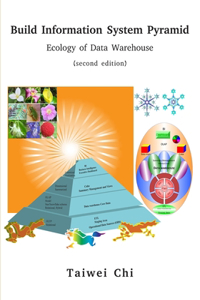 Build Information System Pyramid