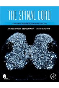 Spinal Cord