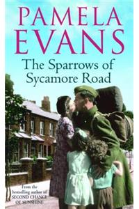 The Sparrows of Sycamore Road