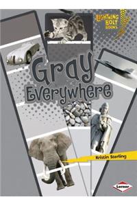 Gray Everywhere
