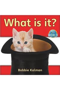 What Is It?