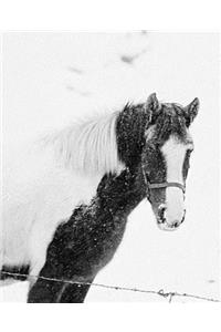 Horse Photo School Composition Book Equine Horse Winter Snowstorm