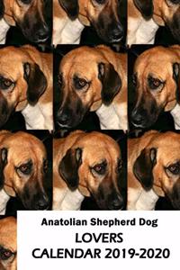 Anatolian Shepherd Dog Lovers Calendar 2019-2020