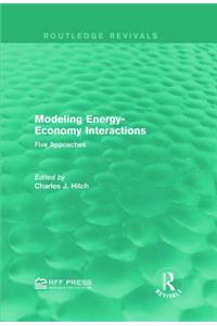 Modeling Energy-Economy Interactions