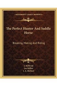 Perfect Hunter and Saddle Horse