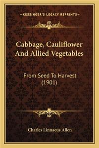 Cabbage, Cauliflower And Allied Vegetables