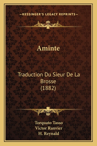Aminte
