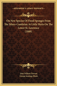 On New Species Of Fossil Sponges From The Siluro-Cambrian At Little Metis On The Lower St. Lawrence (1889)