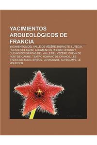 Yacimientos Arqueologicos de Francia: Yacimientos del Valle de Vezere, Bibracte, Lutecia, Puente del Gard