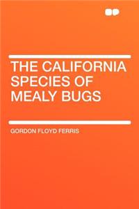 The California Species of Mealy Bugs