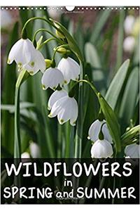 Wildflowers in Spring and Summer 2017
