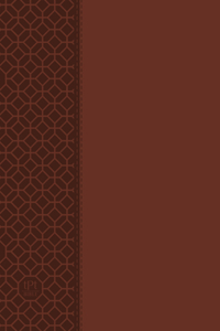 Passion Translation New Testament (2020 Edition) Large Print Brown