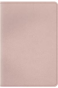 ESV Baby New Testament with Psalms and Proverbs