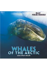 Whales of the Arctic