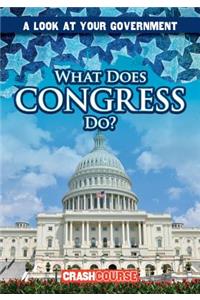 What Does Congress Do?