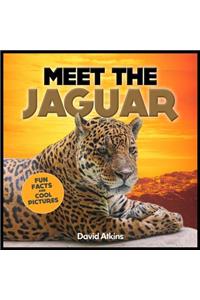 Meet The Jaguar: Fun Facts & Cool Pictures