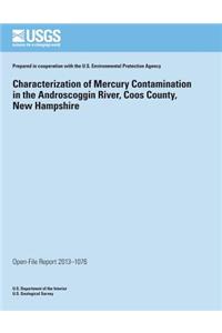 Characterization of Mercury Contamination in the Androscoggin River, Coos County, New Hampshire