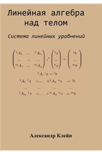 Linear Algebra Over Division Ring (Russian Edition)