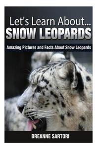 Snow Leopards: Amazing Pictures and Facts about Snow Leopards