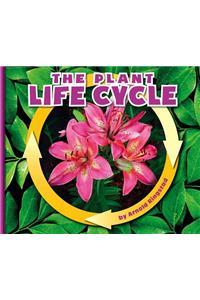 The Plant Life Cycle