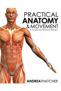 Practical Anatomy & Movement