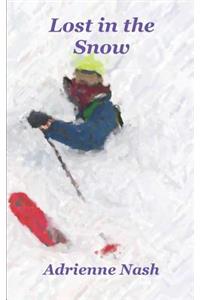 Lost in the Snow