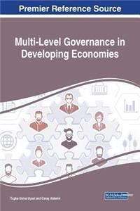 Multi-Level Governance in Developing Economies