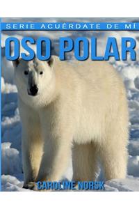 Oso Polar