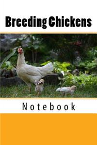 Breeding Chickens