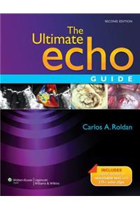 The Ultimate Echo Guide