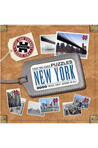 New York City: Past to Present Puzzles