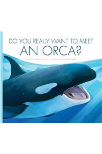 Do You Really Want to Meet an Orca?
