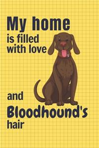 My home is filled with love and Bloodhound's hair