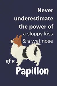 Never underestimate the power of a sloppy kiss & a wet nose of a Papillon