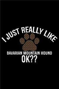 I Just Really Like Bavarian Mountain Hound Ok?