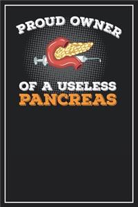 Proud owner of a useless Pancreas