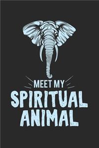 Meet my spiritual animal elephant