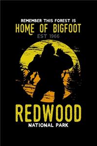 Redwood National Park Home of Bigfoot