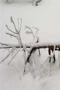 2020 Weekly Planner Winter Snow Covered Branch 134 Pages